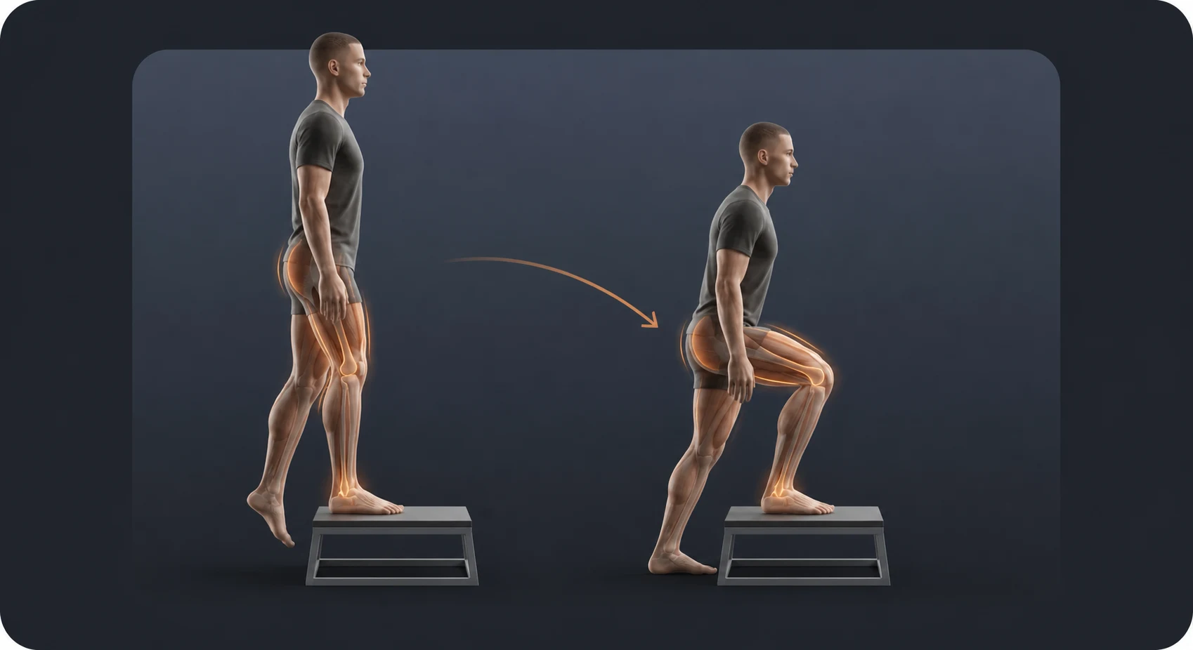 Eccentric step-down with one foot on a low step and the free heel lowering slowly